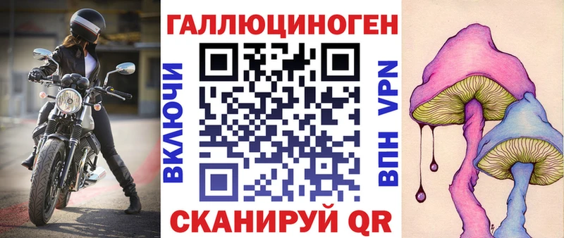 Псилоцибиновые грибы Psilocybe  Купить  Нахабино 
